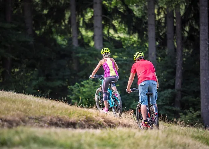 Moninec Hotel Sedlec-Prcice